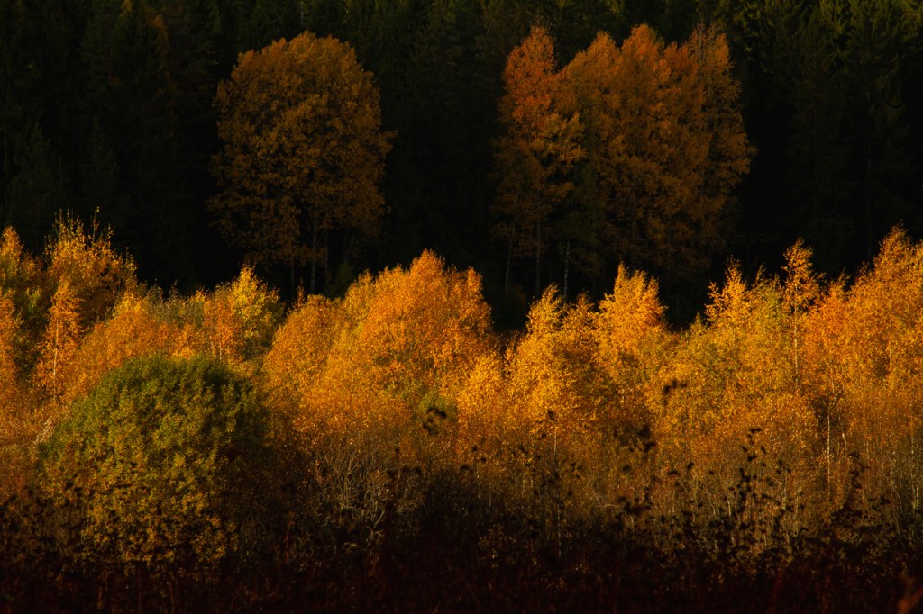 Slide galleriassa "other work"