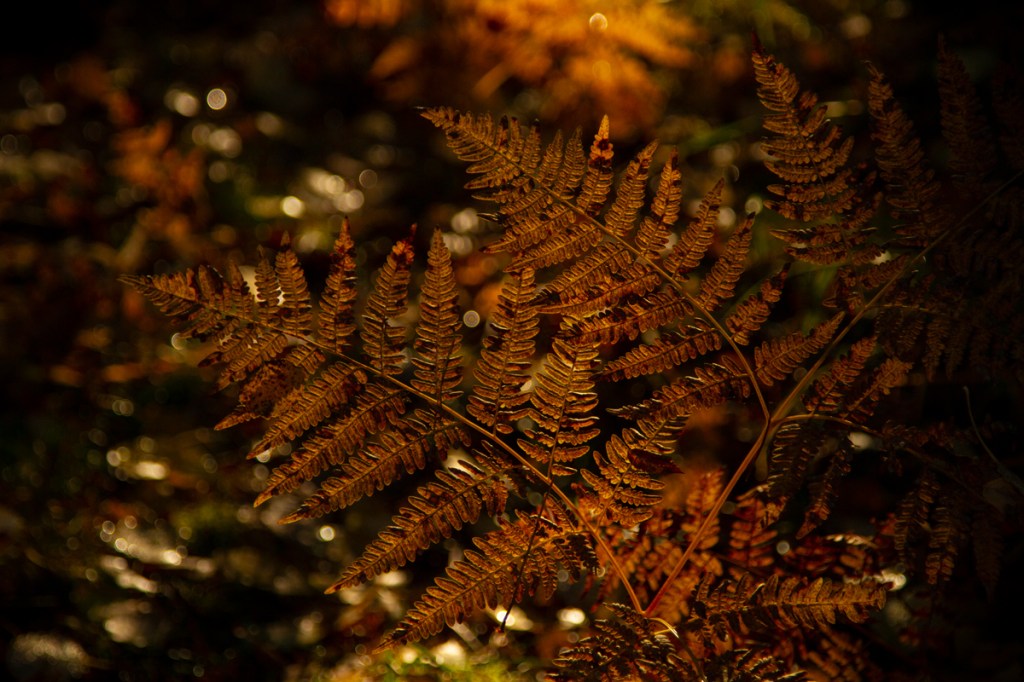 Slide galleriassa "other work"